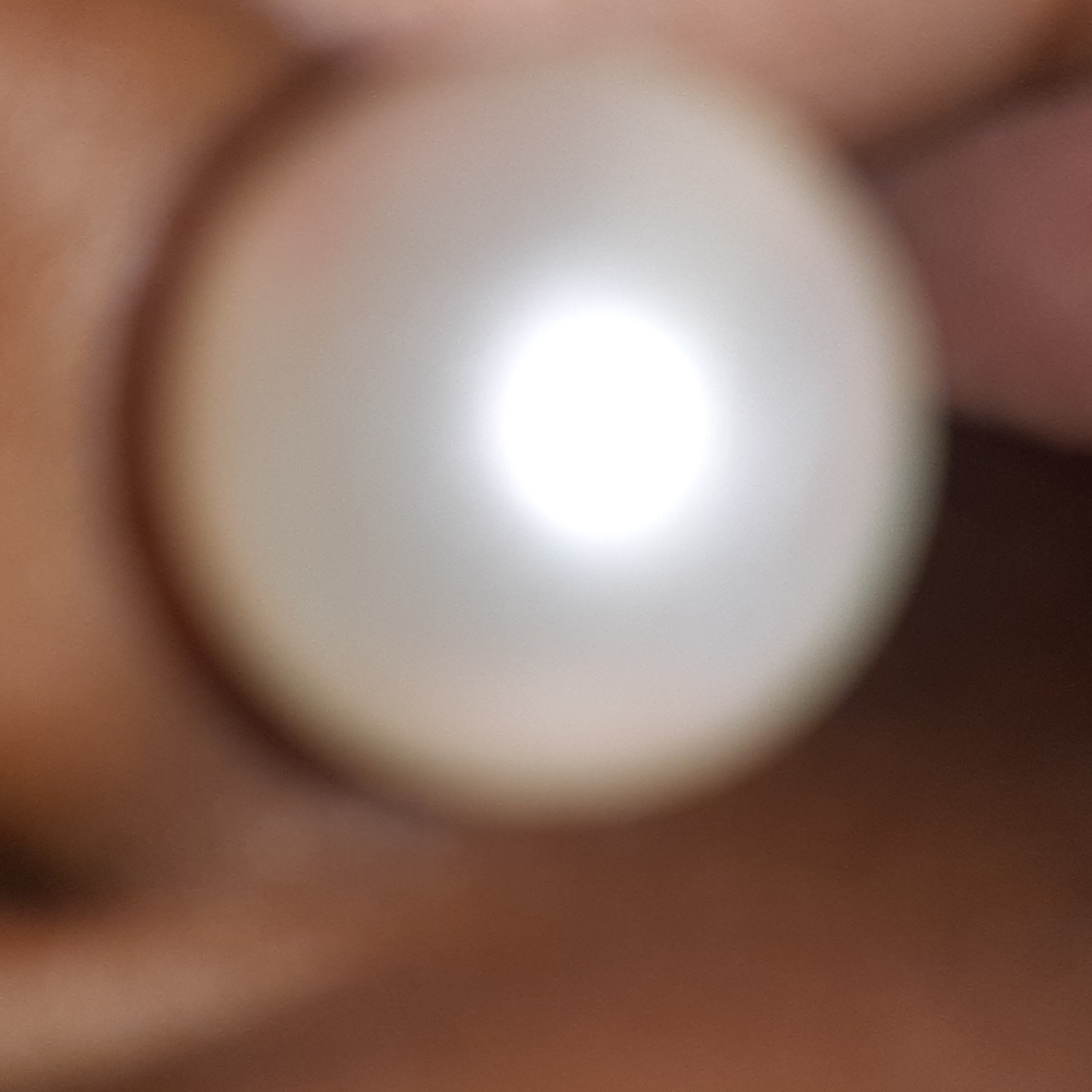 Pearl Earring